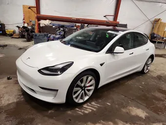 2021 Tesla Model 3 5YJ3E1EC2MF926480 Lot 64307736