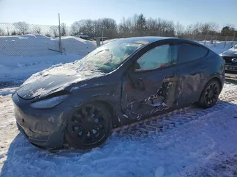 2020 Tesla Model Y 5YJYGDEE7LF041712 Lot 74355535