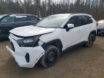 2020 Toyota RAV4 2T3B1RFV0LW113475 Lot 49947536