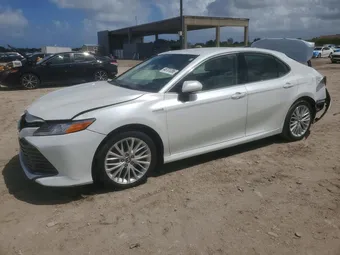 2019 Toyota Camry 4T1B21HK8KU512112 Lot 48701286