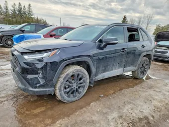 2023 Toyota RAV4 2T3R1RFV8PC389392 Lot 79224845