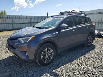 2016 Toyota RAV4 JTMRJREVXGD041753 Lot 51435906