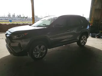 2021 Toyota RAV4 4T3D6RFV9MU062909 Lot 51376596