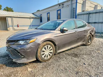 2020 Toyota Camry 4T1C31AK4LU529051 Lot 47534146