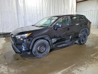2025 Toyota RAV4 2T3F1RFV7SW527269 Lot 51117806