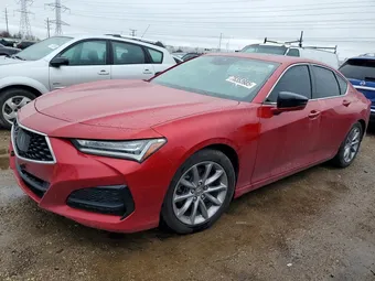 2021 Acura TLX 19UUB5F31MA009673