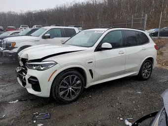 2023 BMW X5 5UXTA6C04P9S00585 Lot 79025435
