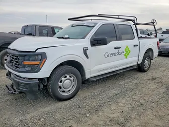 2025 Ford F-150 1FTEW1KP0SKD52670 Lot 76697025
