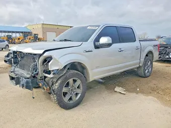 2015 Ford F-150 1FTEW1EG1FKD29495 Lot 47979156