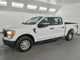 2021 Ford F-150 1FTEW1EB1MKE48892 Lot 48124486