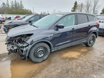 2015 Ford Escape 1FMCU0G70FUB66116 Lot 46182296