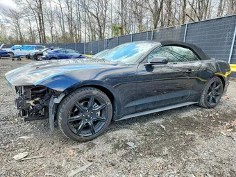2019 Ford Mustang 1FATP8UH0K5205191 Lot 47076506