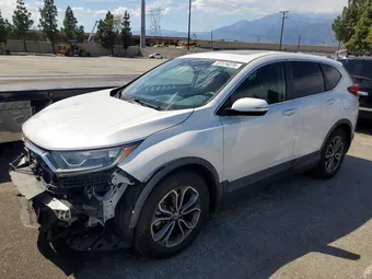 2020 Honda CR-V 5J6RW1H59LA014533 Lot 51174276