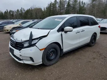 2022 Honda Odyssey 5FNRL6H62NB504469 Lot 48043356