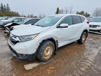 2019 Honda CR-V 2HKRW2H86KH135811 Lot 77905555