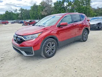 2022 Honda CR-V 5J6RW1H87NA016181 Lot 49734506