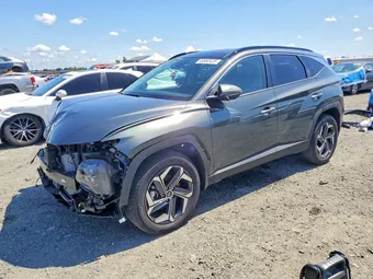 2024 Hyundai Tucson KM8JCCD14RU187826 Lot 49982426