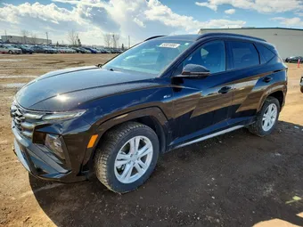 2025 Hyundai Tucson Hybrid KM8JCDD12SU306677 Lot 49381006