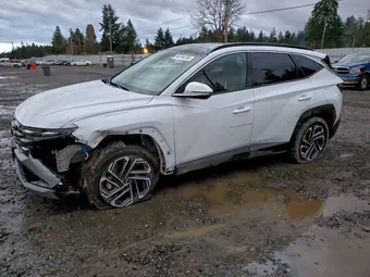 2025 Hyundai Tucson Hybrid KM8JEDD11SU386371 Lot 96184755