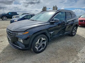 2023 Hyundai Tucson KM8JECA10PU116828 Lot 78732295