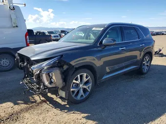 2020 Hyundai Palisade KM8R4DHE6LU134409 Lot 48834806