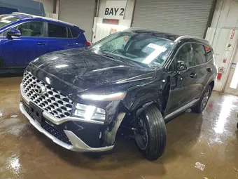 2022 Hyundai Santa Fe 5NMS2DAJ6NH443360 Lot 47270066