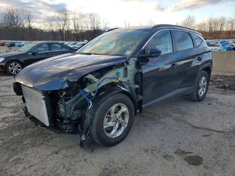 2024 Hyundai Tucson KM8JBCDE0RU327053 Lot 46373956