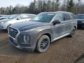 2020 Hyundai Palisade KM8R5DHE5LU038400 Lot 47165466