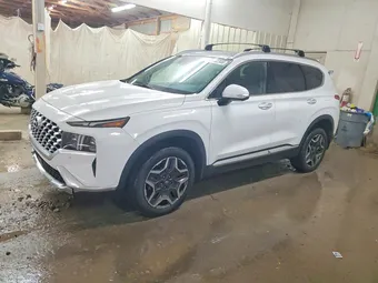 2023 Hyundai Santa Fe 5NMS5DA16PH003780 Lot 46442346
