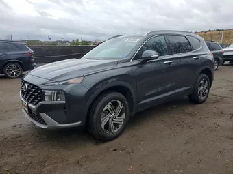2023 Hyundai Santa Fe 5NMS2DAJ4PH520116 Lot 45545836