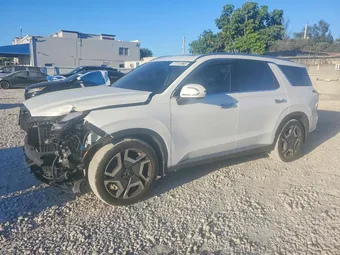 2024 Hyundai Palisade KM8R54GE2RU698937 Lot 77713965