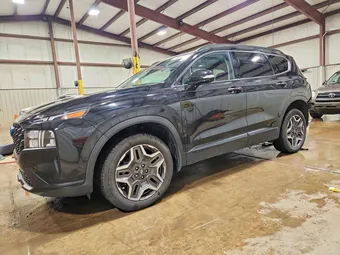 2023 Hyundai Santa Fe 5NMS3DA18PH019498 Lot 49941026