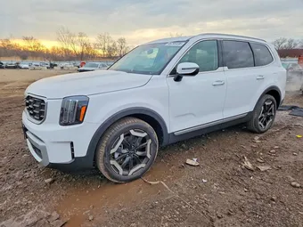 2025 Kia Telluride 5XYP6DGC7SG600290 Lot 46295336