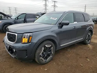 2024 Kia Telluride 5XYP3DGC7RG533483 Lot 79397685