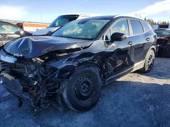 2023 Kia Sportage KNDPU3AF9P7098857 Lot 48578856