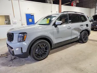 2025 Kia Telluride 5XYP5DGC6SG704594 Lot 48744786