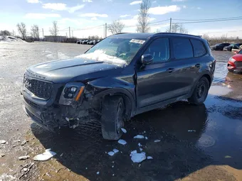 2022 Kia Telluride 5XYP5DHC2NG304275 Lot 46113616