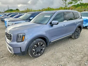 2024 Kia Telluride 5XYP54GC5RG479613 Lot 50472876