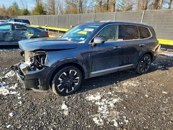 2024 Kia Telluride 5XYP5DGC0RG534999 Lot 79630775