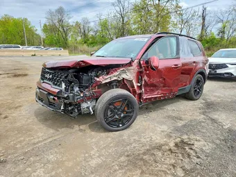 2024 Kia Telluride 5XYP5DGC1RG539516 Lot 51951646