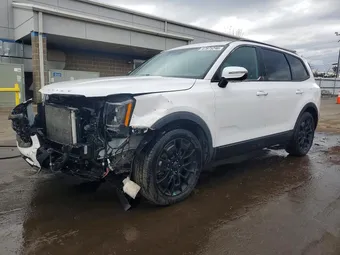 2021 Kia Telluride 5XYP5DHCXMG168508 Lot 47975246