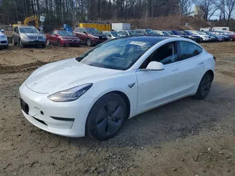 2020 Tesla Model 3 5YJ3E1EB0LF790548 Lot 48126406