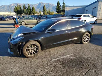 2020 Tesla Model 3 5YJ3E1EA9LF804731 Lot 46585586