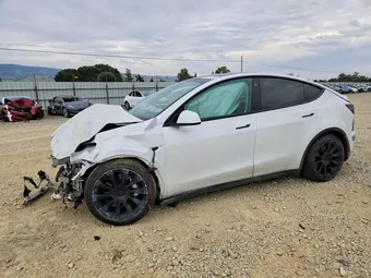2021 Tesla Model Y 5YJYGAEE7MF300702 Lot 48174136