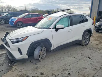 2023 Toyota RAV4 2T3P1RFVXPC356272 Lot 50409146