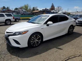 2019 Toyota Camry 4T1B21HK9KU519909 Lot 48735516