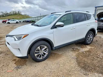 2017 Toyota RAV4 JTMRJREV9HD071764 Lot 50605486