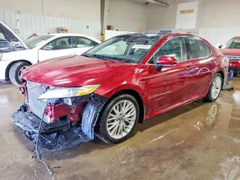 2019 Toyota Camry 4T1B11HK4KU812023 Lot 48424326