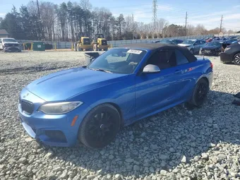 2016 BMW 2 Series WBA1M1C5XGV394686