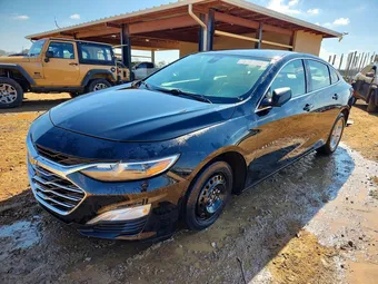 2019 Chevrolet Malibu 1G1ZB5ST9KF218727 Lot 76181285